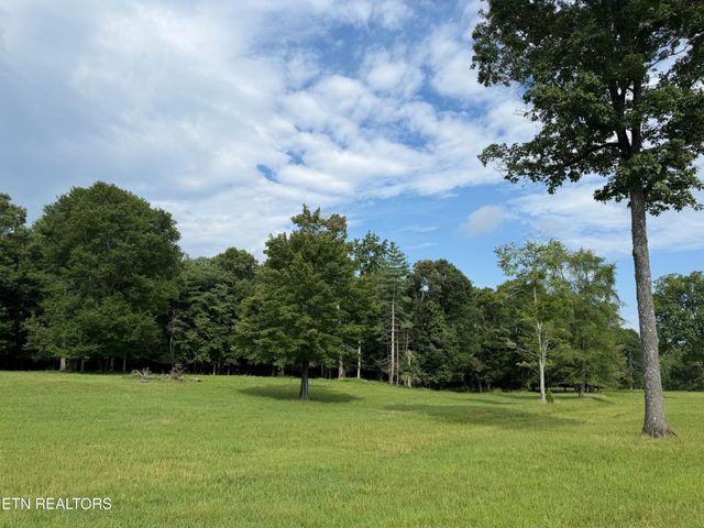 1041 Walt Reed Rd, Grandview, TN 37337