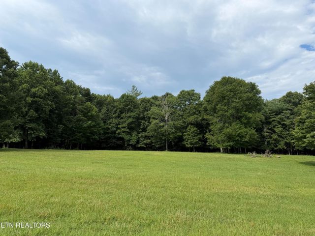 1041 Walt Reed Rd, Grandview, TN 37337