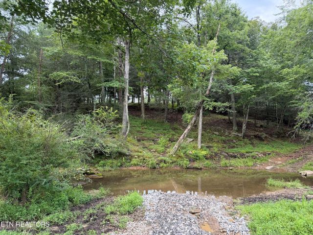 1041 Walt Reed Rd, Grandview, TN 37337