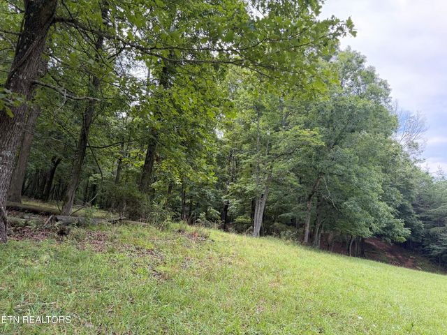 1041 Walt Reed Rd, Grandview, TN 37337