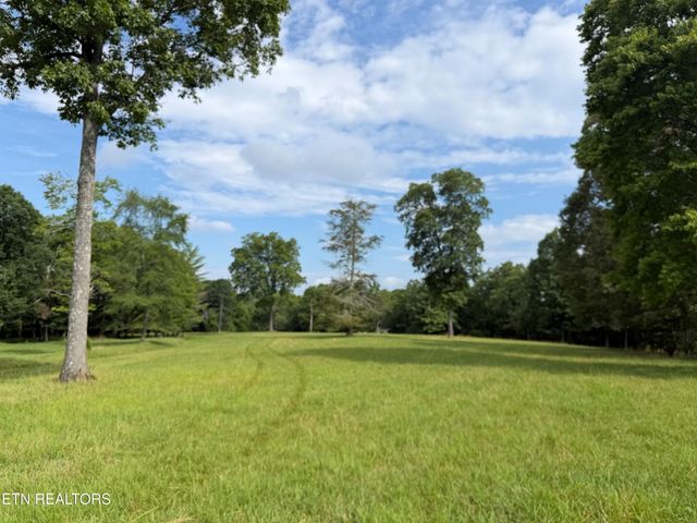1041 Walt Reed Rd, Grandview, TN 37337