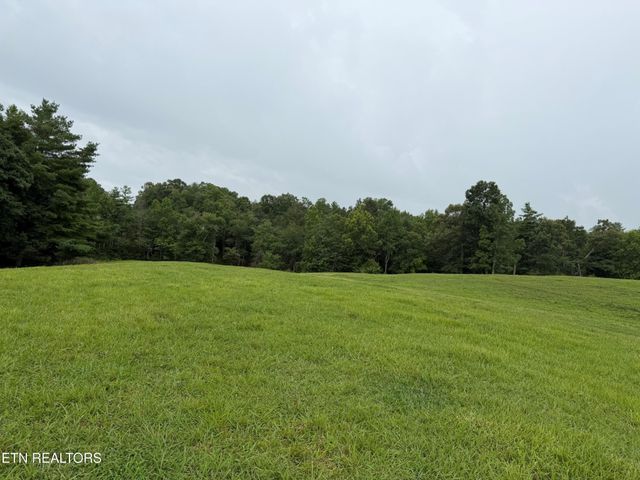 1041 Walt Reed Rd, Grandview, TN 37337