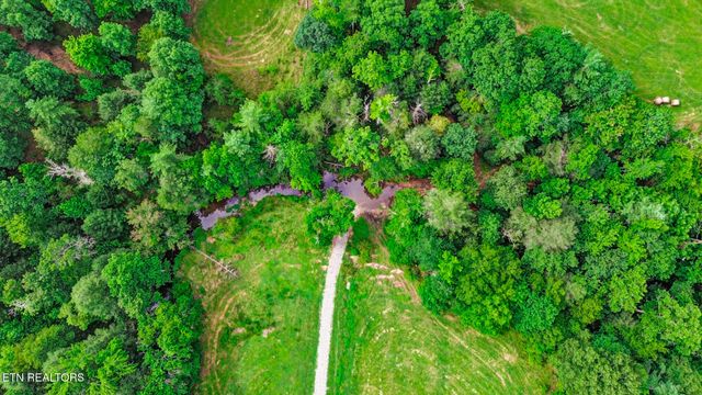 1041 Walt Reed Rd, Grandview, TN 37337