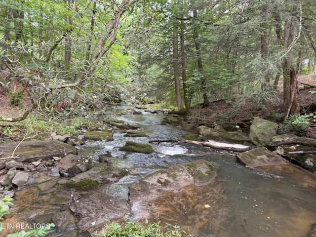 1041 Walt Reed Rd, Grandview, TN 37337