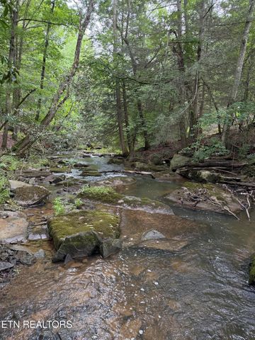 1041 Walt Reed Rd, Grandview, TN 37337