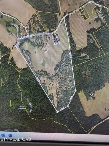 1041 Walt Reed Rd, Grandview, TN 37337