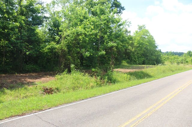 1 N Nopone Valley Road, Decatur, TN 37322