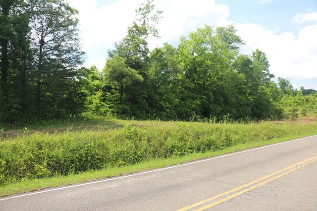 1 N Nopone Valley Road, Decatur, TN 37322