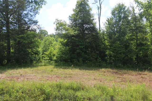1 N Nopone Valley Road, Decatur, TN 37322