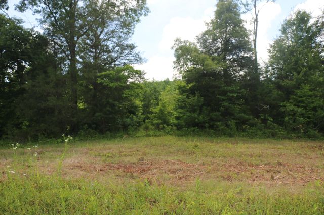 1 N Nopone Valley Road, Decatur, TN 37322