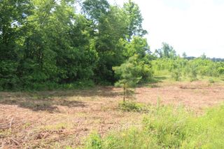 1 N Nopone Valley Road, Decatur, TN 37322