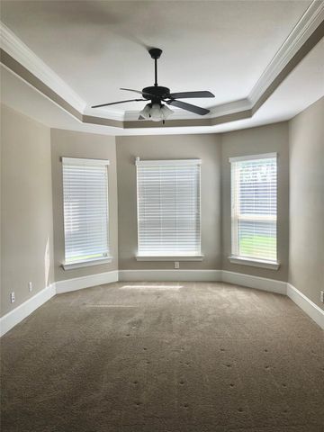 520 Pedernales Street, Webster, TX 77598