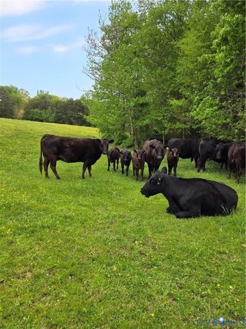 00 Perkinsville Lot 6 Rd, Maidens, VA 23102