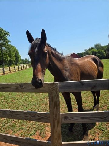 00 Perkinsville Lot 6 Rd, Maidens, VA 23102