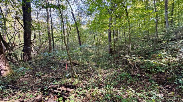 4328 Peggy Hollow Road, Shoals, IN 47581