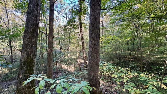 4328 Peggy Hollow Road, Shoals, IN 47581