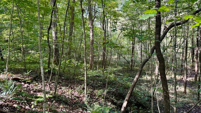 4328 Peggy Hollow Road, Shoals, IN 47581