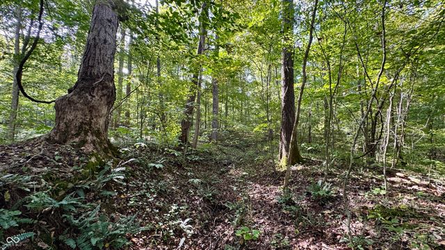 4328 Peggy Hollow Road, Shoals, IN 47581