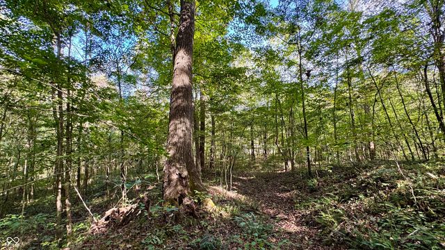 4328 Peggy Hollow Road, Shoals, IN 47581