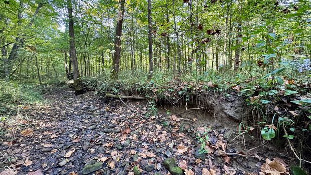 4328 Peggy Hollow Road, Shoals, IN 47581