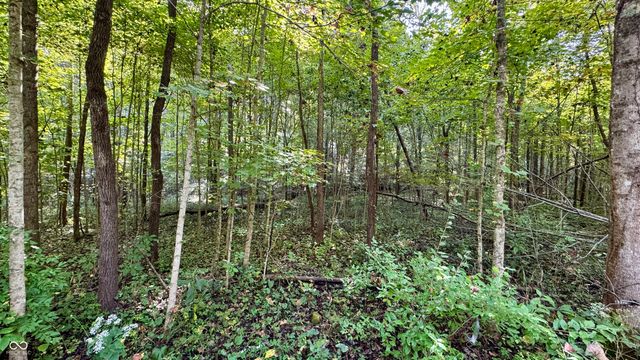 4328 Peggy Hollow Road, Shoals, IN 47581