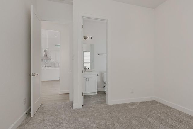 11021 N Lake Mist Lane, Willis, TX 77318