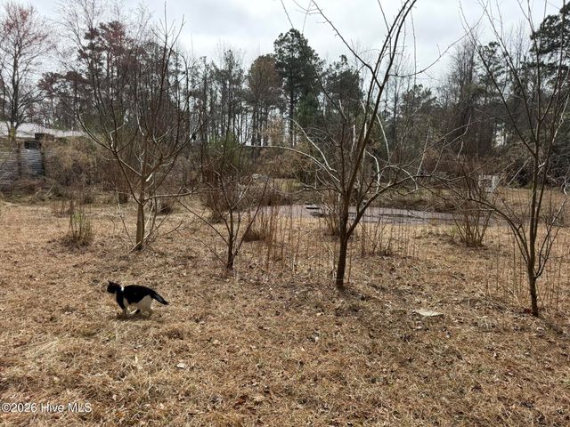 3414 Possum Hill Road, Bath, NC 27808