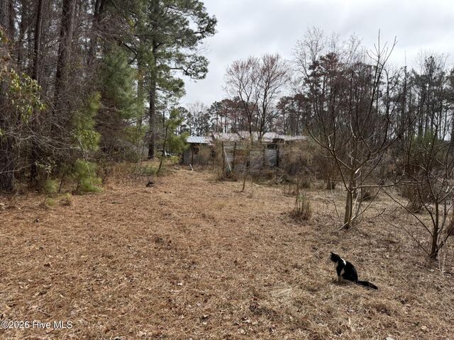 3414 Possum Hill Road, Bath, NC 27808