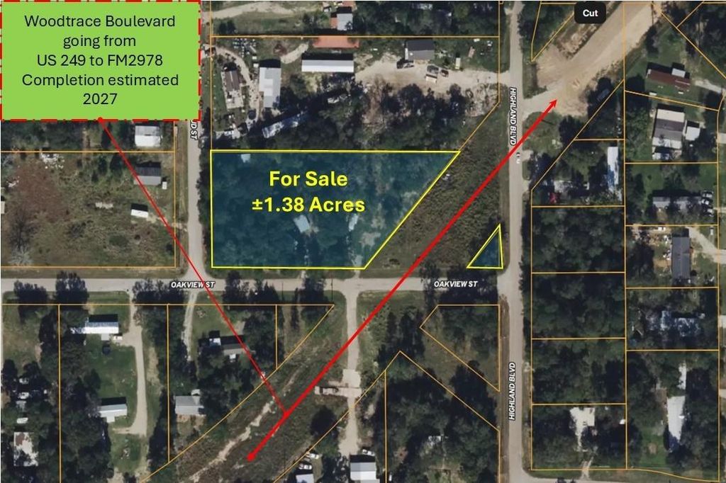 30002 Rosebud Street, Magnolia, TX 77354