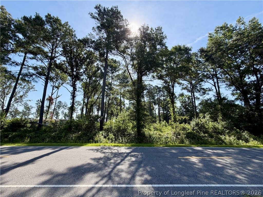 1396 Mercer Mill Road, Lumberton, NC 28358 — photo 2