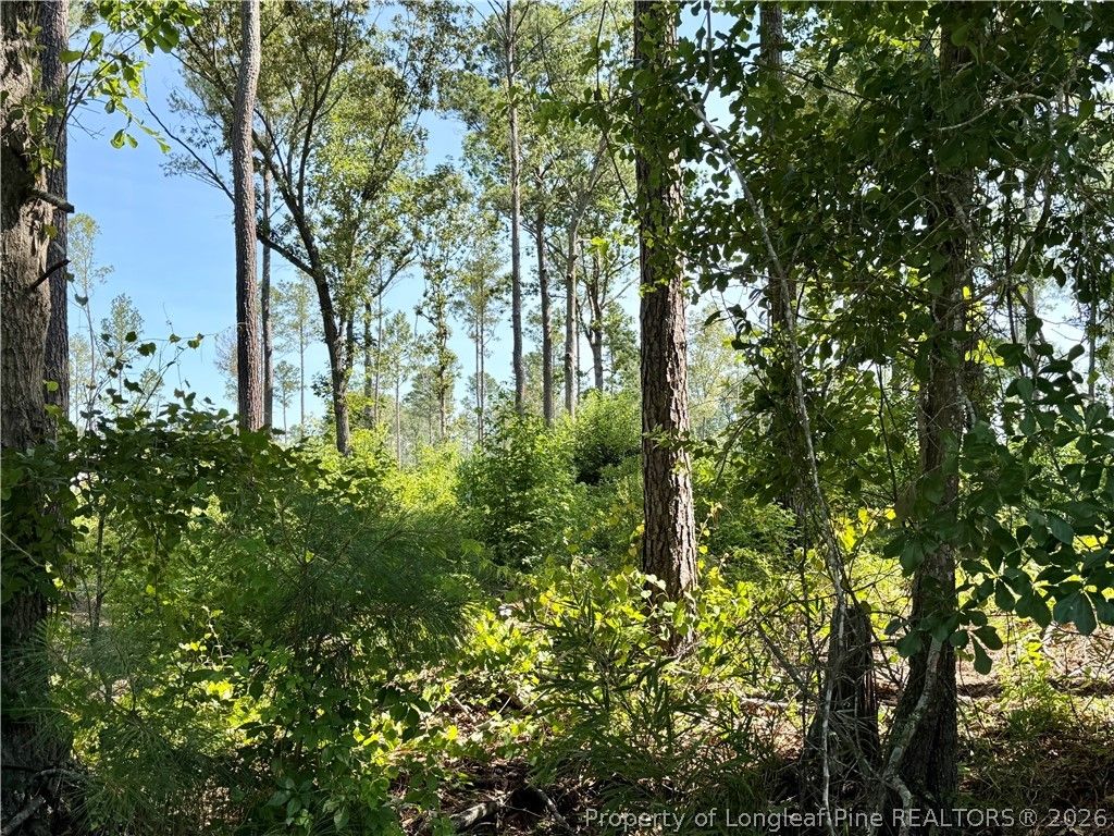 1396 Mercer Mill Road, Lumberton, NC 28358 — photo 3