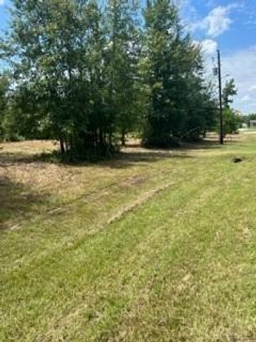 160 Branchwood Drive, Livingston, TX 77351