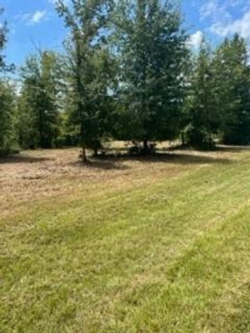 160 Branchwood Drive, Livingston, TX 77351