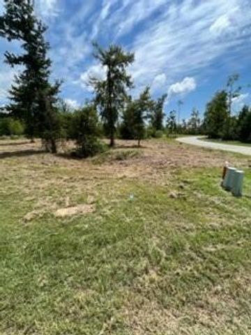 160 Branchwood Drive, Livingston, TX 77351