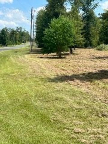 160 Branchwood Drive, Livingston, TX 77351