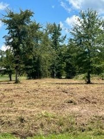 160 Branchwood Drive, Livingston, TX 77351