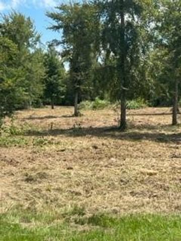 160 Branchwood Drive, Livingston, TX 77351