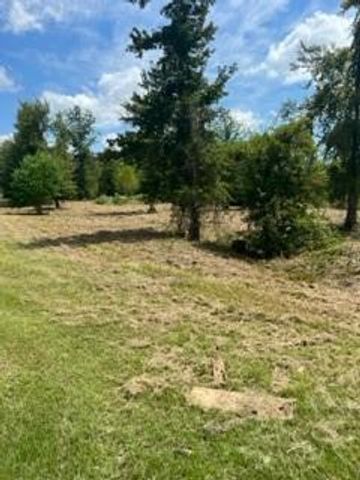 160 Branchwood Drive, Livingston, TX 77351