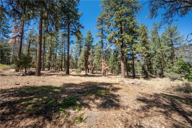 2205 Fernwood, Pine Mountain Club, CA 93222