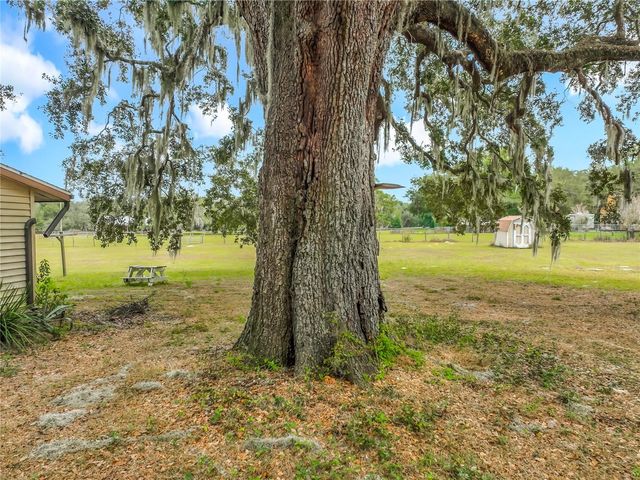 32200 AVINGTON ROAD, Sorrento, FL 32776