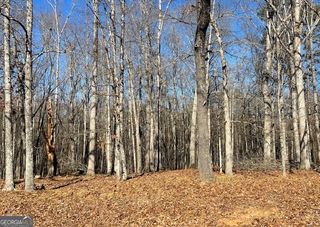 0 Chappell Road LOT 2, Fayetteville, GA 30215