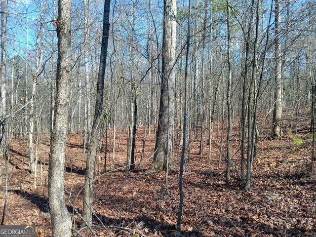 TRACT 4 Rivers Road, Fayetteville, GA 30214