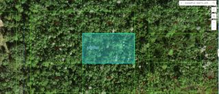 COMMONWEALTH AVE N, Polk City, FL 33868