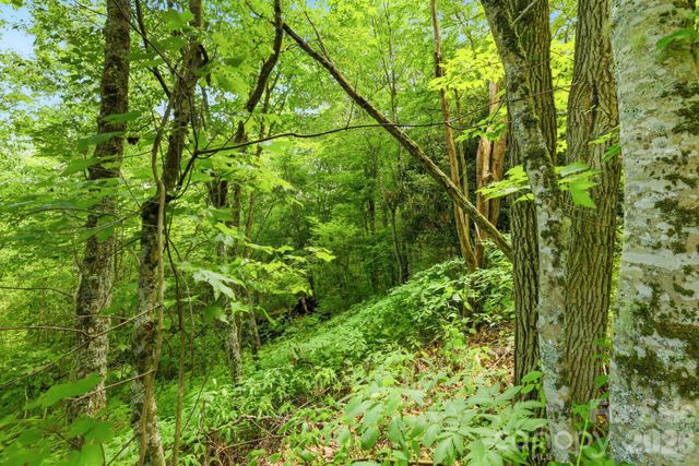 0 Bent Oak Drive 6, Waynesville, NC 28786