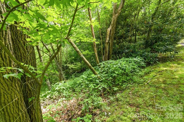 0 Bent Oak Drive 6, Waynesville, NC 28786