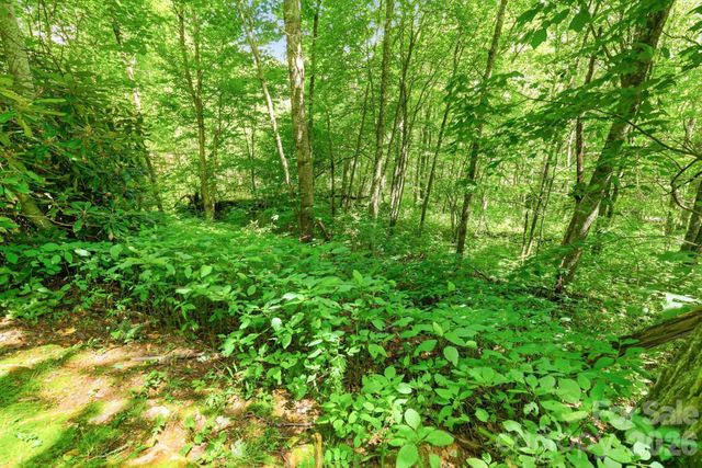 0 Bent Oak Drive 6, Waynesville, NC 28786
