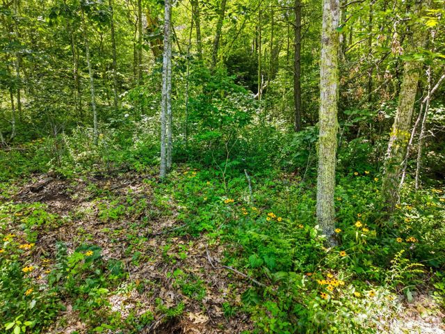 0 Bent Oak Drive 6, Waynesville, NC 28786