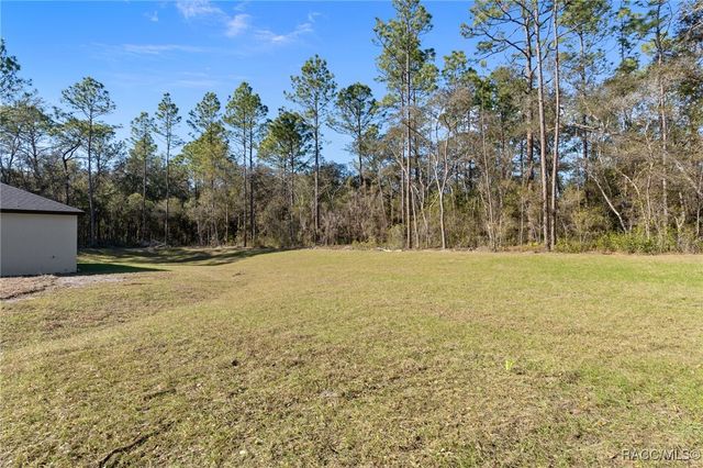 1215 E Getty Lane, Hernando, FL 34442