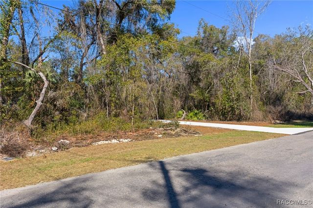 1215 E Getty Lane, Hernando, FL 34442