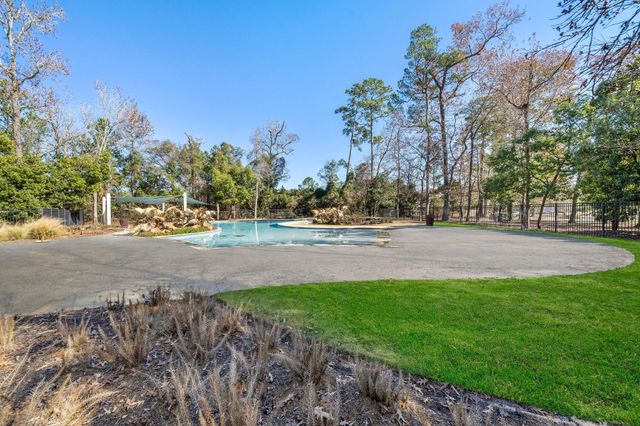 28491 Rose Vervain Drive, Spring, TX 77386